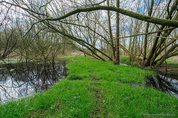Bekenstelsel rondom Uddel en Elspeet 210320-112