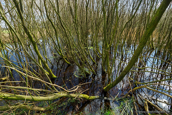 Bekenstelsel rondom Uddel en Elspeet 210320-115