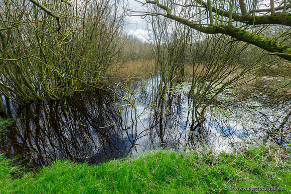 Bekenstelsel rondom Uddel en Elspeet 210320-116