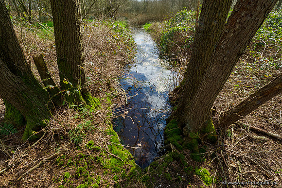 Bekenstelsel rondom Uddel en Elspeet 210320-117