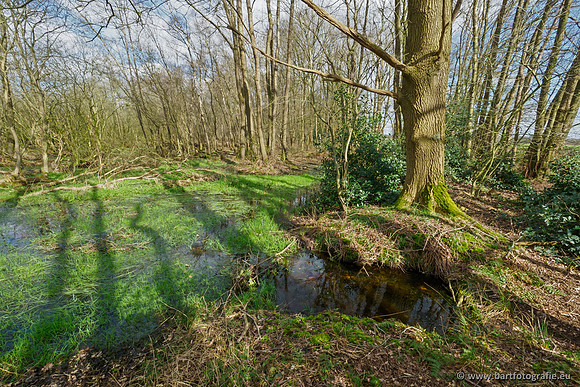 Bekenstelsel rondom Uddel en Elspeet 210320-119