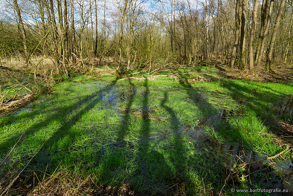 Bekenstelsel rondom Uddel en Elspeet 210320-120