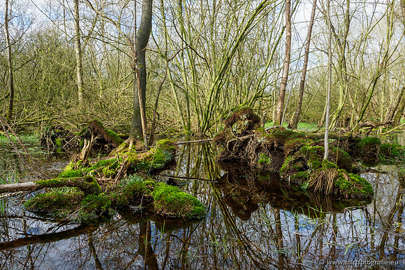 Bekenstelsel rondom Uddel en Elspeet 210320-121