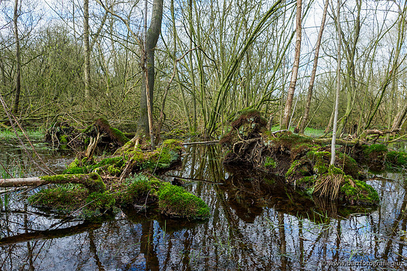 Bekenstelsel rondom Uddel en Elspeet 210320-122