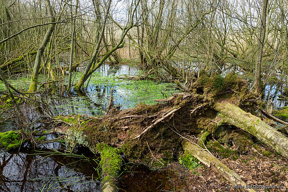 Bekenstelsel rondom Uddel en Elspeet 210320-123