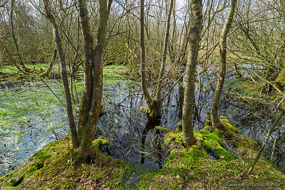 Bekenstelsel rondom Uddel en Elspeet 210320-124