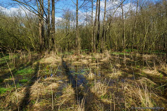 Bekenstelsel rondom Uddel en Elspeet 210320-125