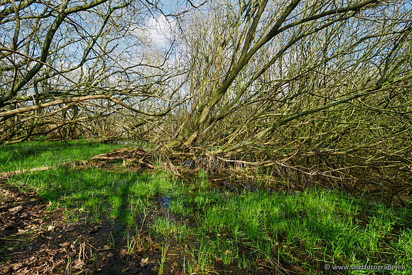 Bekenstelsel rondom Uddel en Elspeet 210320-126