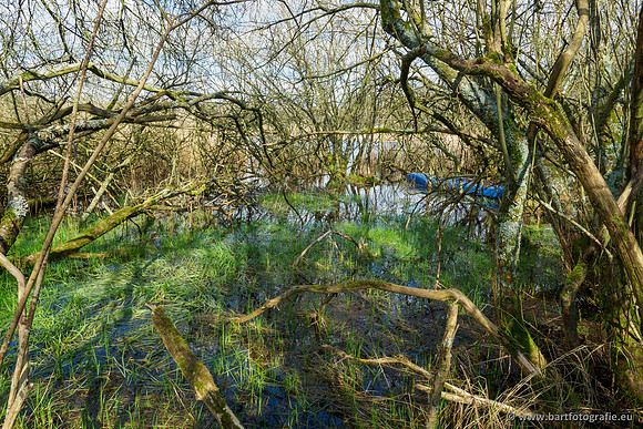 Bekenstelsel rondom Uddel en Elspeet 210320-127
