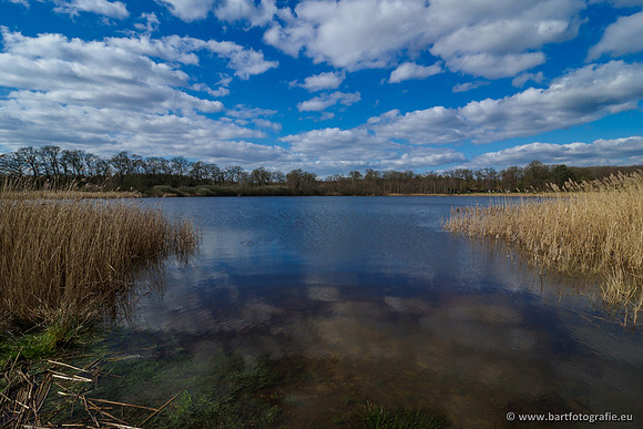 Bekenstelsel rondom Uddel en Elspeet 210320-129