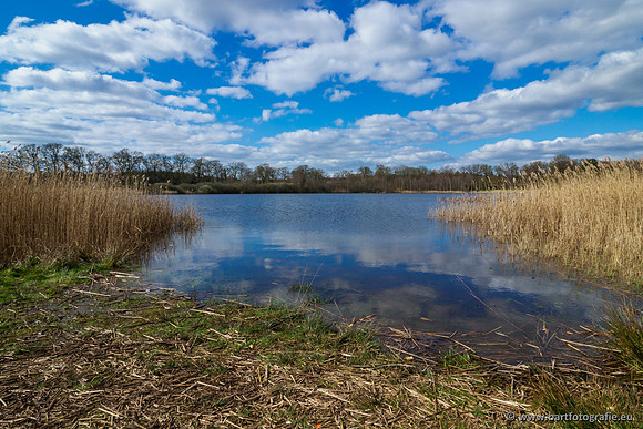 Bekenstelsel rondom Uddel en Elspeet 210320-133