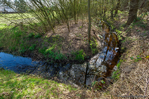 Bekenstelsel rondom Uddel en Elspeet 210320-136