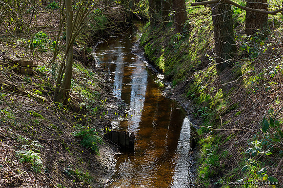 Bekenstelsel rondom Uddel en Elspeet 210320-137
