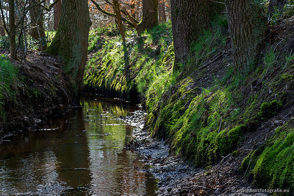 Bekenstelsel rondom Uddel en Elspeet 210320-142
