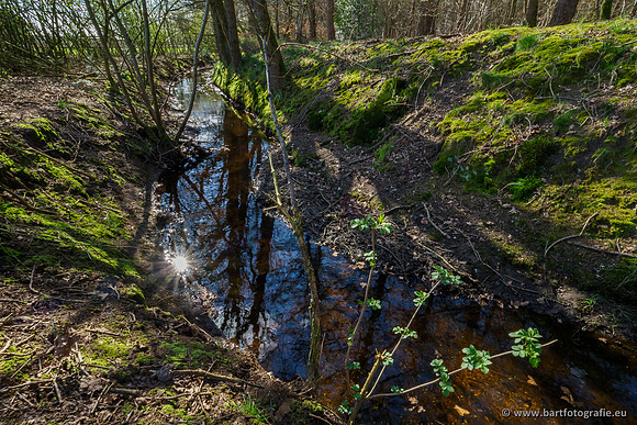 Bekenstelsel rondom Uddel en Elspeet 210320-145