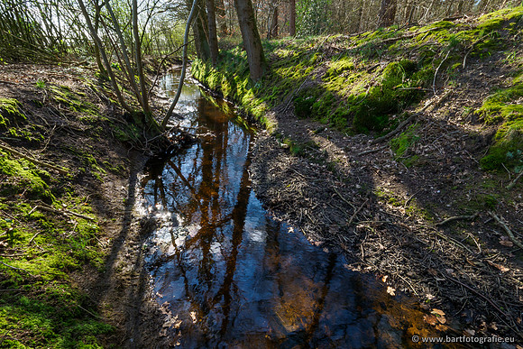 Bekenstelsel rondom Uddel en Elspeet 210320-146
