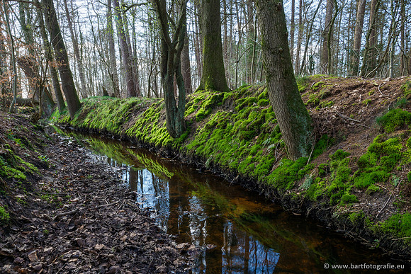 Bekenstelsel rondom Uddel en Elspeet 210320-148