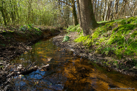 Bekenstelsel rondom Uddel en Elspeet 210320-151