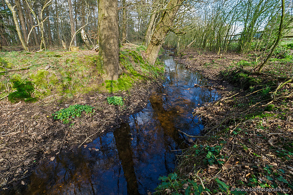 Bekenstelsel rondom Uddel en Elspeet 210320-152