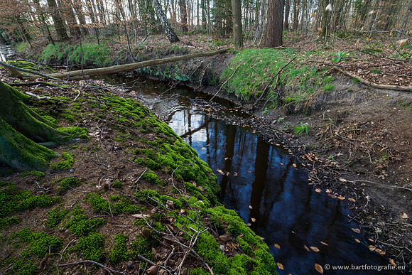 Bekenstelsel rondom Uddel en Elspeet 210320-153
