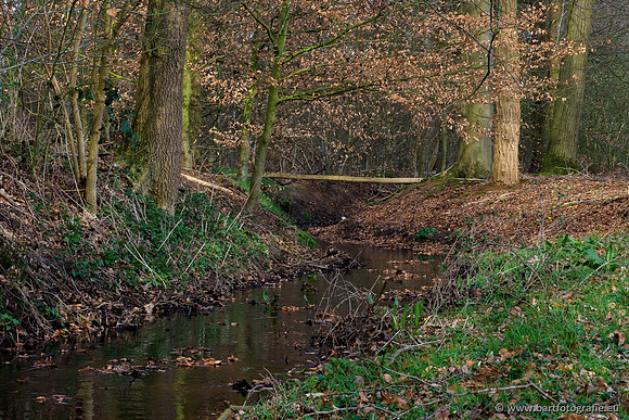 Bekenstelsel rondom Uddel en Elspeet 210320-159