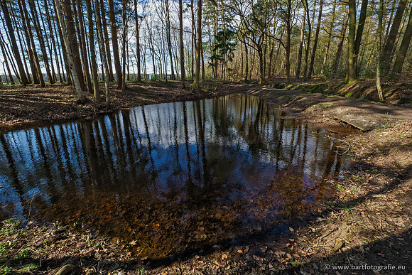 Bekenstelsel rondom Uddel en Elspeet 210320-162