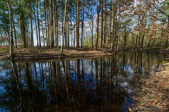 Bekenstelsel rondom Uddel en Elspeet 210320-163