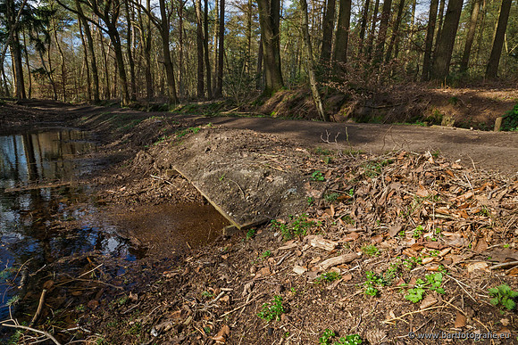 Bekenstelsel rondom Uddel en Elspeet 210320-165