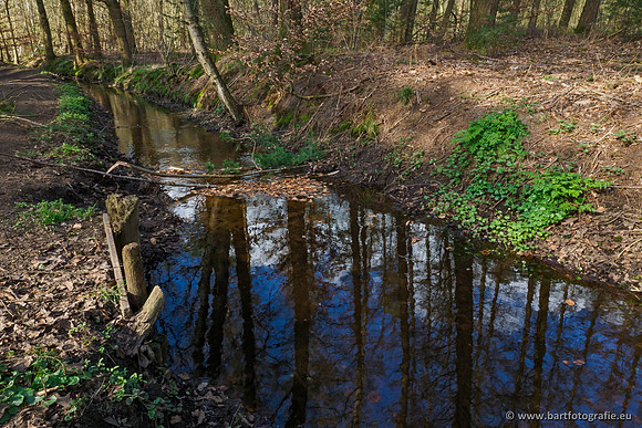 Bekenstelsel rondom Uddel en Elspeet 210320-166