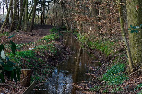 Bekenstelsel rondom Uddel en Elspeet 210320-167