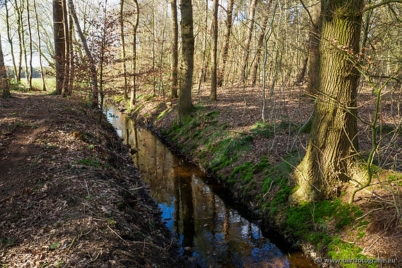 Bekenstelsel rondom Uddel en Elspeet 210320-168