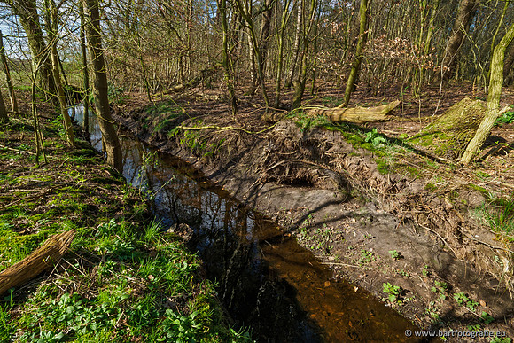 Bekenstelsel rondom Uddel en Elspeet 210320-169