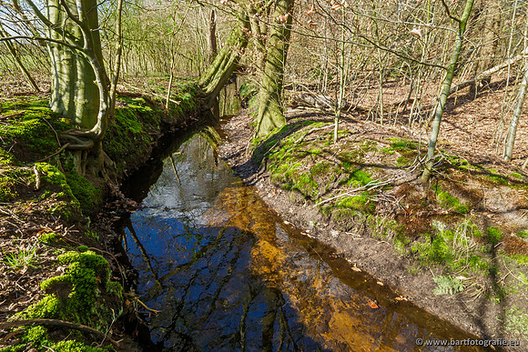 Bekenstelsel rondom Uddel en Elspeet 210320-170