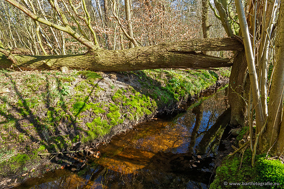 Bekenstelsel rondom Uddel en Elspeet 210320-172