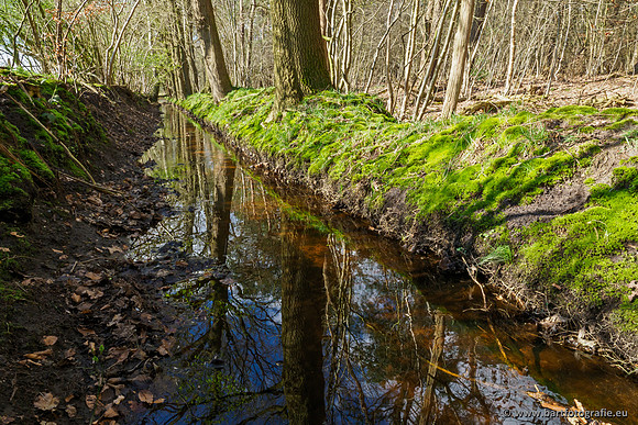 Bekenstelsel rondom Uddel en Elspeet 210320-173
