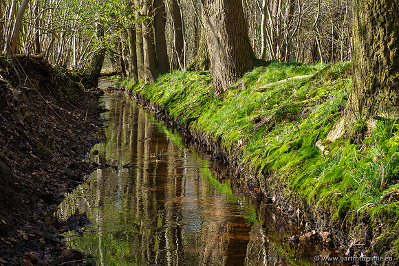 Bekenstelsel rondom Uddel en Elspeet 210320-174