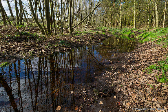 Bekenstelsel rondom Uddel en Elspeet 210320-177