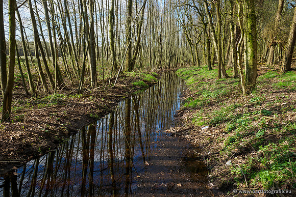 Bekenstelsel rondom Uddel en Elspeet 210320-178