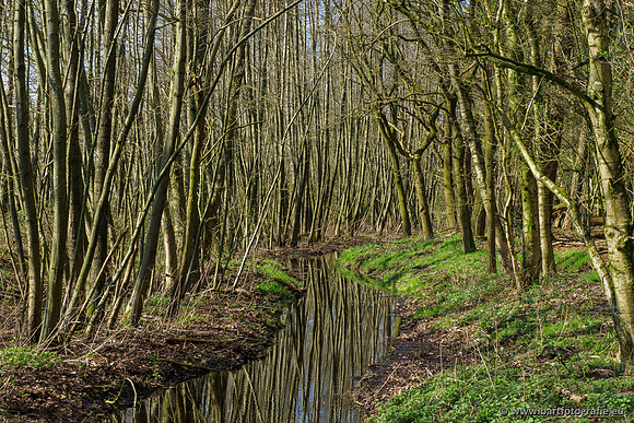 Bekenstelsel rondom Uddel en Elspeet 210320-179
