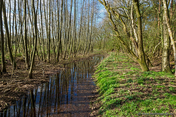 Bekenstelsel rondom Uddel en Elspeet 210320-180
