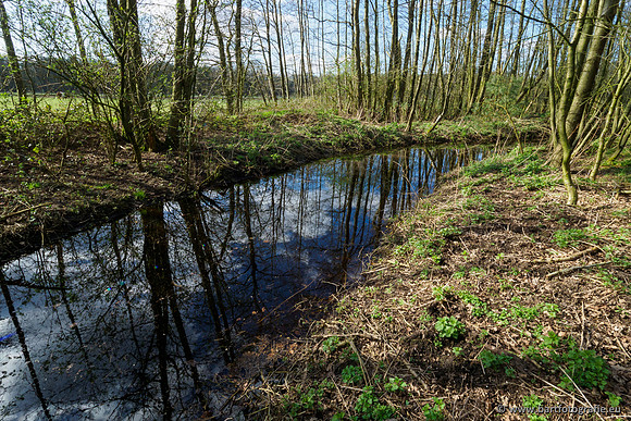 Bekenstelsel rondom Uddel en Elspeet 210320-181