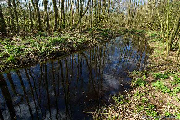 Bekenstelsel rondom Uddel en Elspeet 210320-182