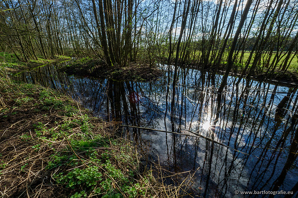 Bekenstelsel rondom Uddel en Elspeet 210320-185