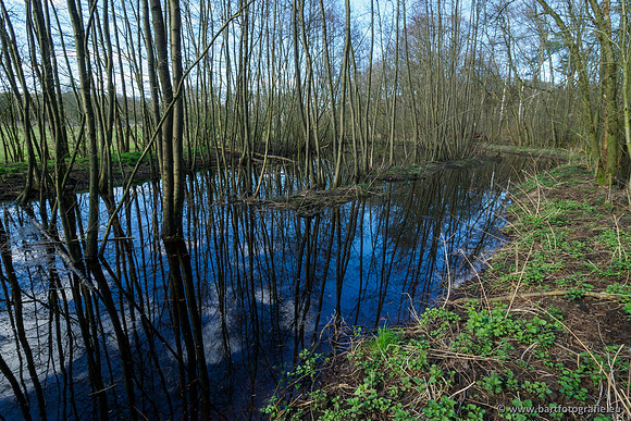 Bekenstelsel rondom Uddel en Elspeet 210320-186