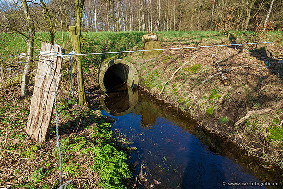 Bekenstelsel rondom Uddel en Elspeet 210320-194