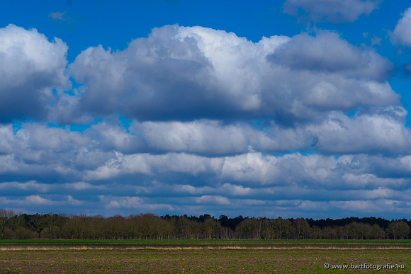 Bekenstelsel rondom Uddel en Elspeet 210320-199