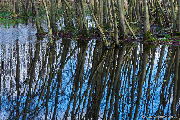 Bekenstelsel rondom Uddel en Elspeet 210320-204