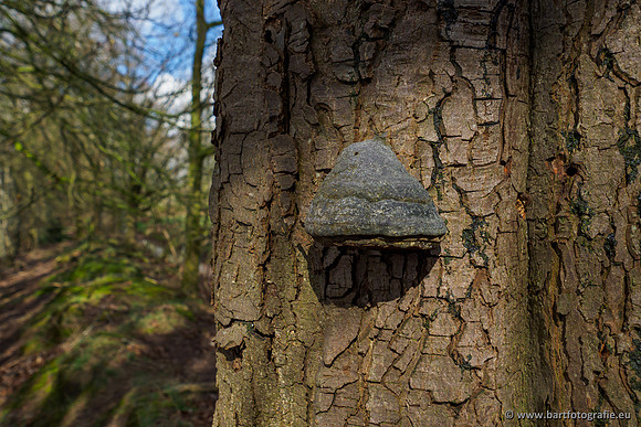 Bekenstelsel rondom Uddel en Elspeet 210320-206