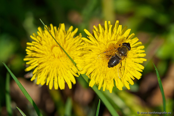 Bekenstelsel rondom Uddel en Elspeet 210320-215
