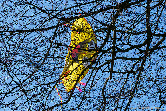 Bekenstelsel rondom Uddel en Elspeet 210320-222